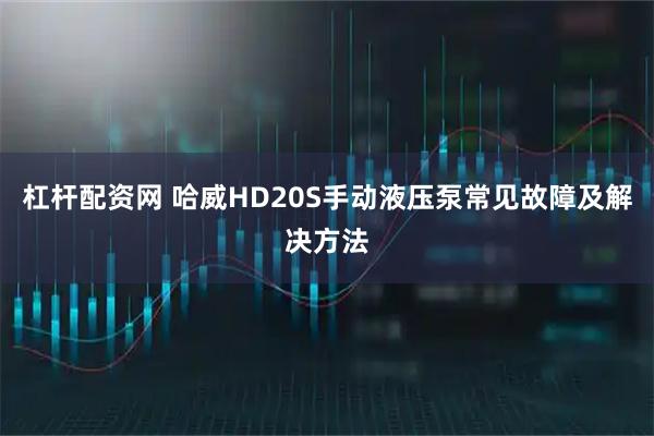 杠杆配资网 哈威HD20S手动液压泵常见故障及解决方法