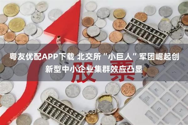 粤友优配APP下载 北交所“小巨人”军团崛起创新型中小企业集群效应凸显