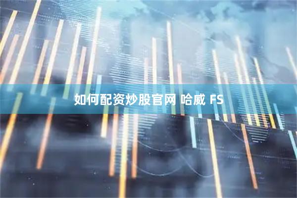 如何配资炒股官网 哈威 FS