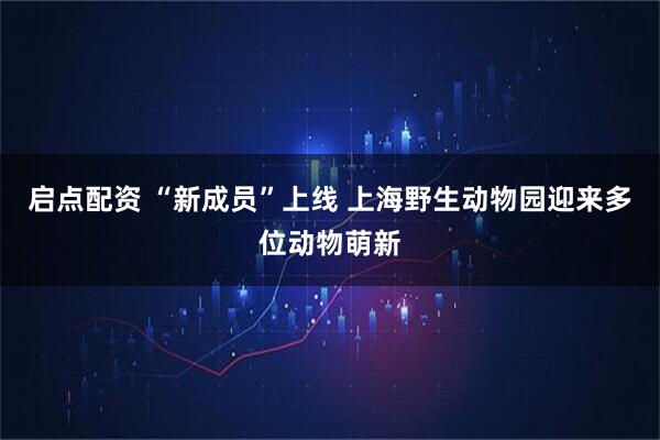 启点配资 “新成员”上线 上海野生动物园迎来多位动物萌新